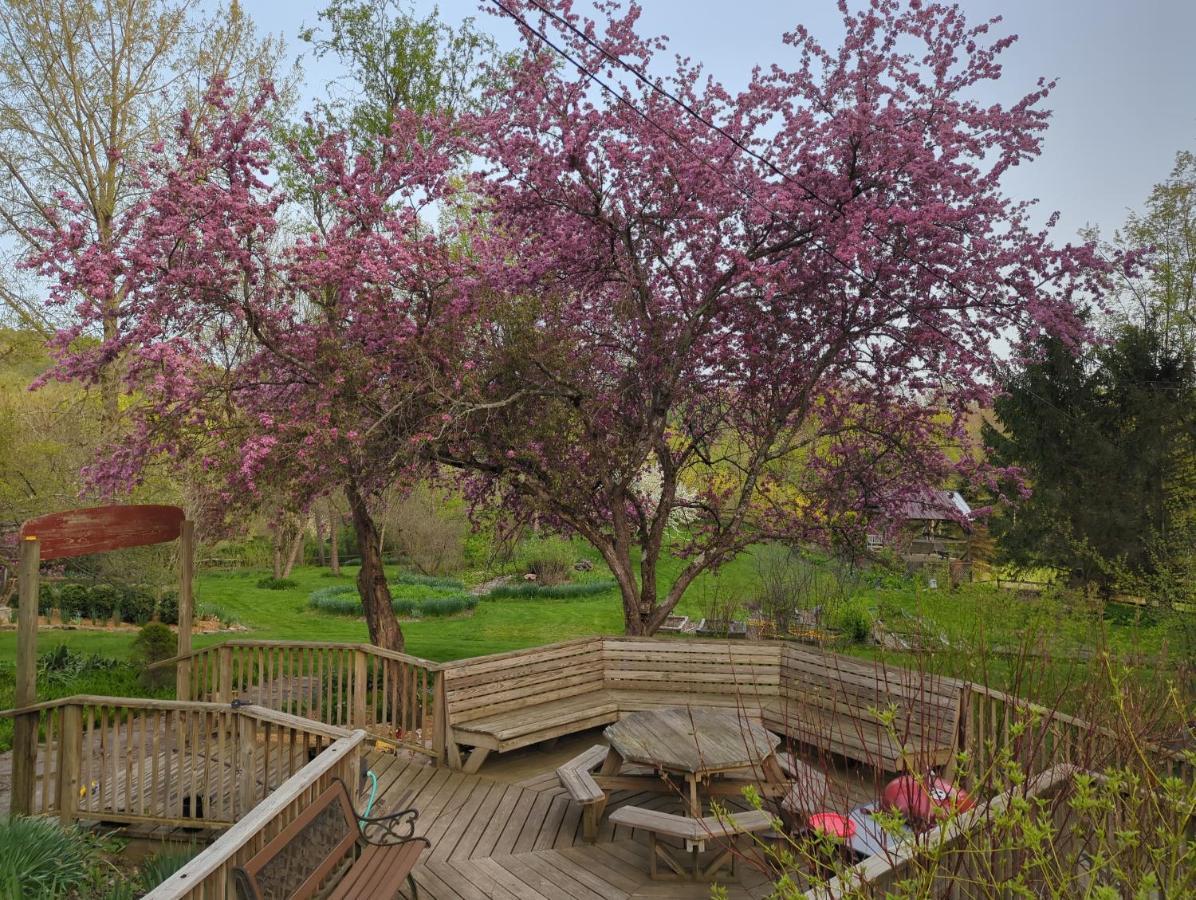 Wildflower Cottage Oxford Εξωτερικό φωτογραφία