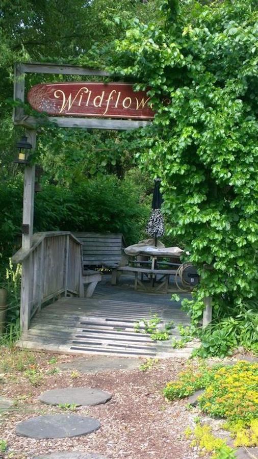 Wildflower Cottage Oxford Εξωτερικό φωτογραφία